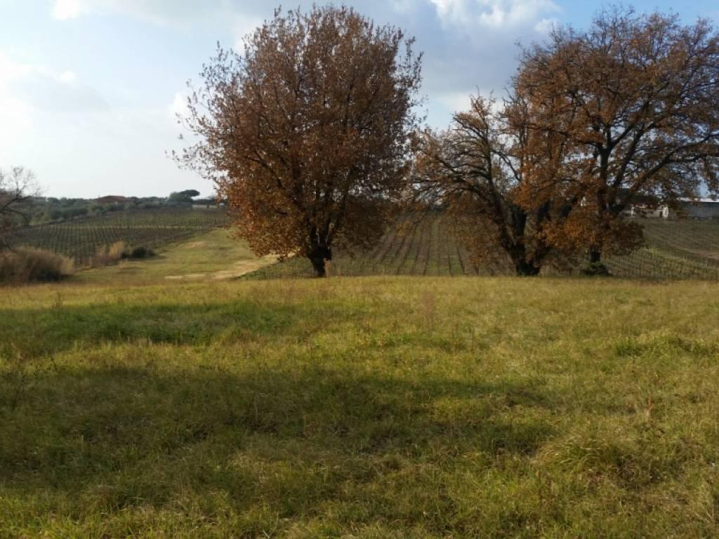 Terreno agricolo in Vendita a Genzano di Roma